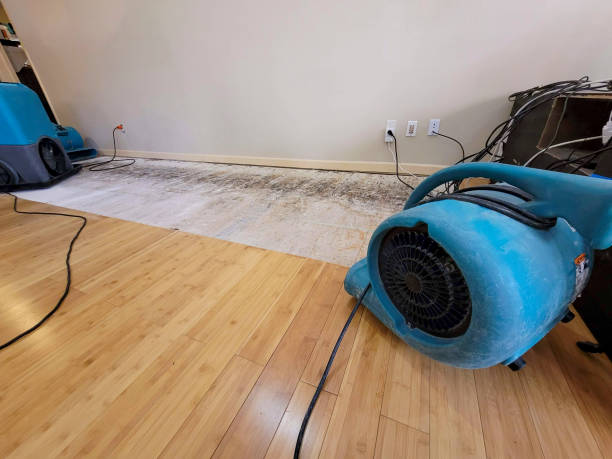 Professional Water Extraction technician working in Tyngsboro, MA